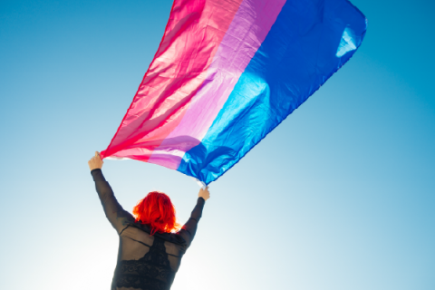 Person holding bisexual flag