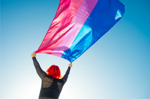 Person holding bisexual flag