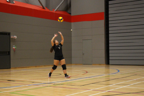 Carolina playing volleyball