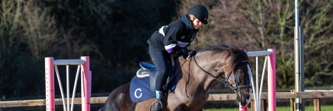 UOP Equestrian member on a horse completing a jump