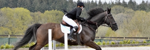 Student on a horse jumping a fence