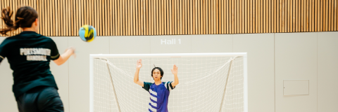 Students playing handball