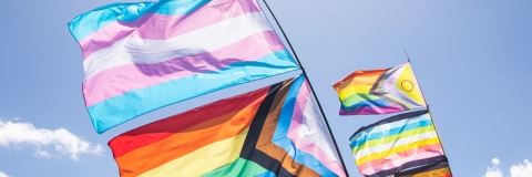 Portsmouth Pride 2022 - For University wide use for newsletters, social media and internal communications promoting Portsmouth Pride and to show the University's support of LGBTQ+. Not for use of campaigns, adverts or unrelated use.
