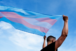 person holding transgender flag