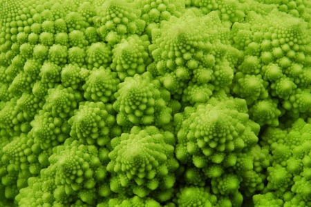STANDARD LICENSE; PLEASE SEE ADDITIONAL ASSET FOR FULL LICENSE TERMS.
Romanesque broccoli macro