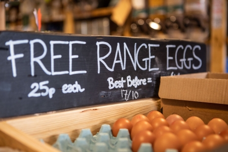 City Guide - The Package Free Larder