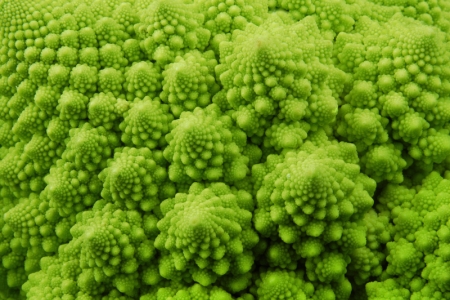STANDARD LICENSE; PLEASE SEE ADDITIONAL ASSET FOR FULL LICENSE TERMS.

Romanesque broccoli macro